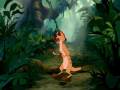 The Lion King In The Jungle Hebrew