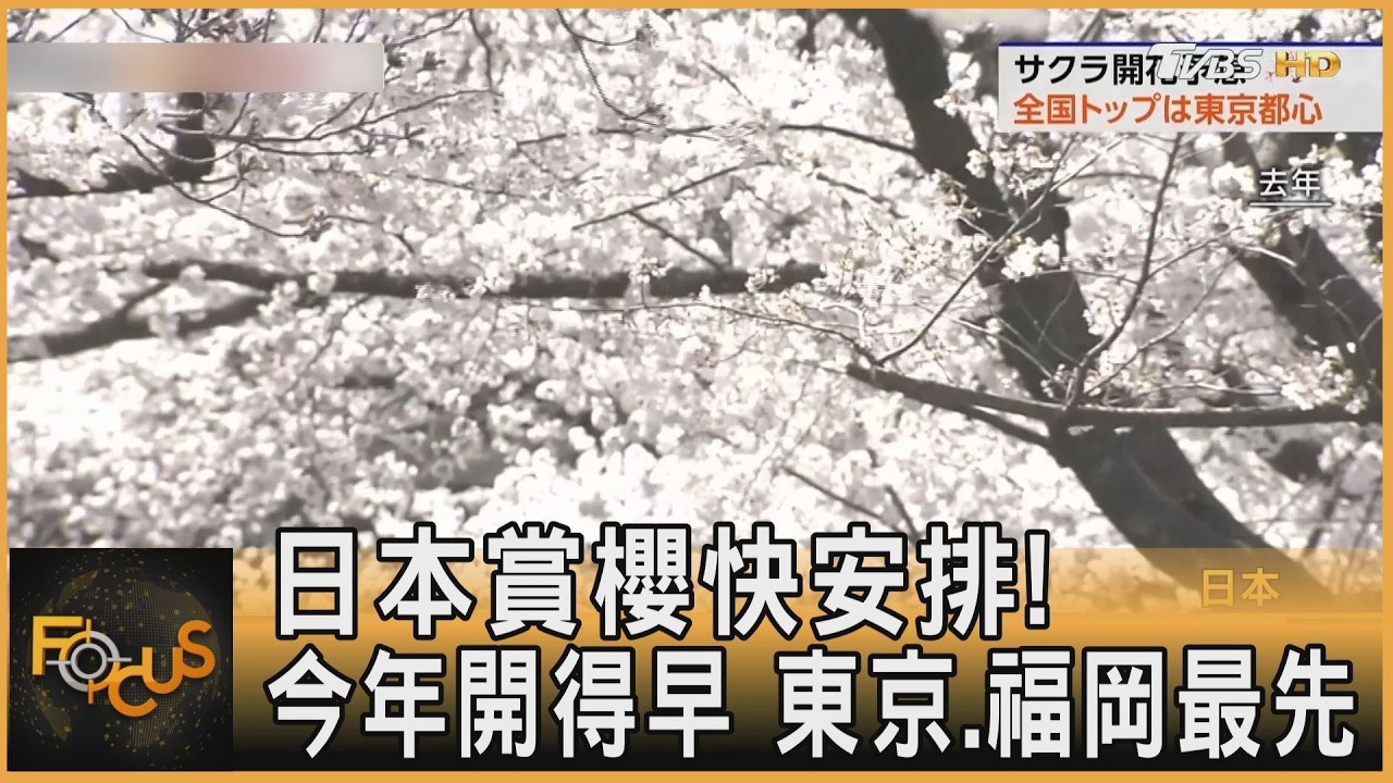 日本賞櫻快安排!今年開得早 東京、福岡最先