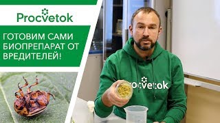 Инсектицид фипронил пищевые аттрактанты и консерванты