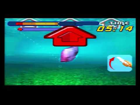 Catch Fish youtube-video