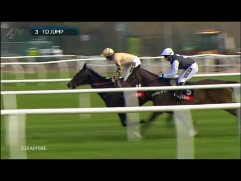2015 E-Lites Top Novices' Hurdle - Aintree meeting