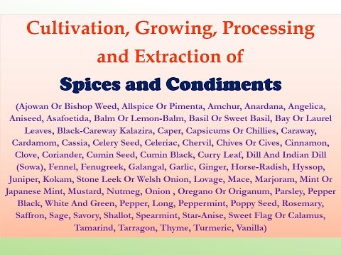 Handbook on Spices and Condiments (Cultivation, Processing and Extraction)