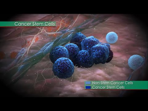 Kanser Kök Hücresi - Cancer Stem Cell