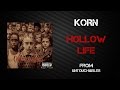 Korn - Hollow Life [Lyrics Video]