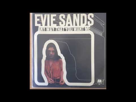 ANY WAY THAT YOU WANT ME EVIE SANDS (2023 MIX)