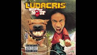 Ludacris 15  Get The Fuck Back