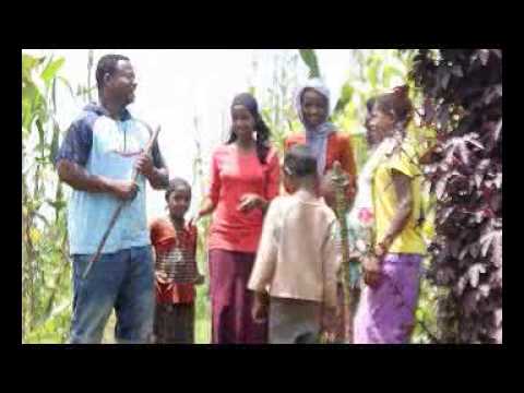 new hot oromo music 2016