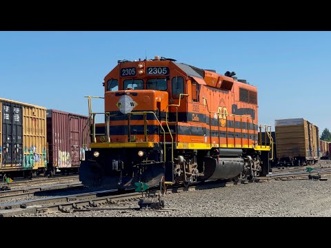 PNWR, AERC, and Union Pacific Action at Albany Yard!