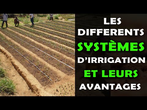 , title : 'Les différents systèmes d'irrigation en agriculture et leurs avantages'