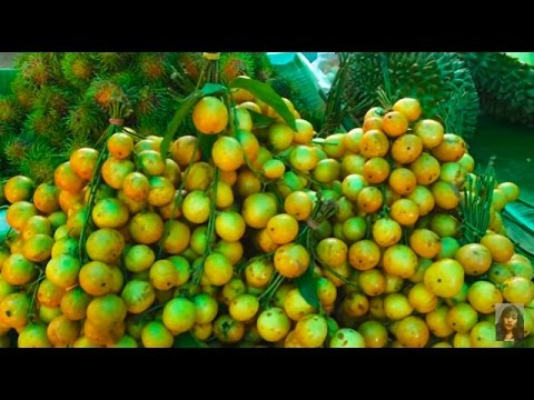 Asian Street Food, Natural Living In Cambodian Market, Foods And Activities In Asian Market