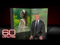 60 Minutes Archives Alma Deutscher British Music Prodigy