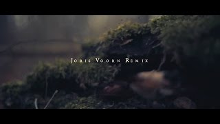 Bob Moses - Like It Or Not (Joris Voorn Remix) -  (Official Video)