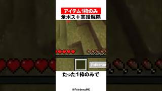 ｢アイテム1枠｣で全ボス+実績解除