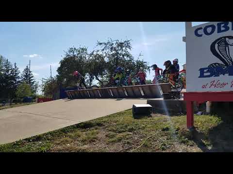 9-22-19. Cobra BMX, money open