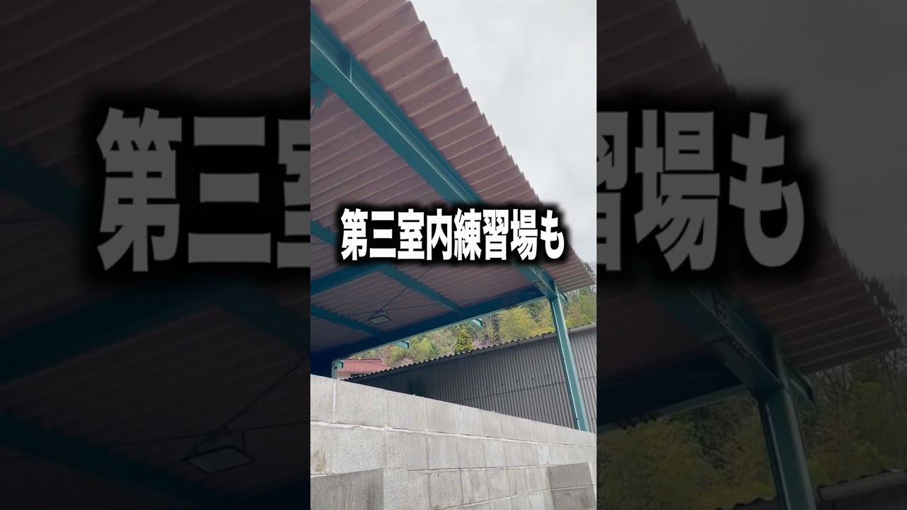 室内練習場をグリーンシートで囲った！！！ #高校野球 #野球 #甲子園 #室内練習場 #屋内練習場 #おすすめ #トレーニング