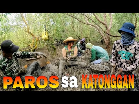 EP495:PART1-PANGUNGUHA NG PAROS SA LOOB NG KATONGGAN