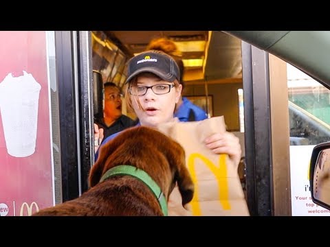 DRIVE THRU PUPPY SWAP PRANK!!