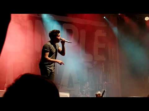 Simple Plan - Rest Of Us (Live in Vienna, Austria 06.03.2016)