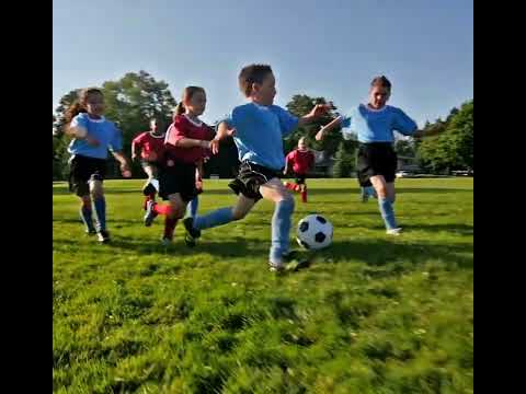 Discovering the Serenity of Birla Ojasvi RR Nagar