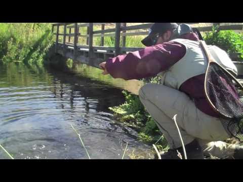 Luke Bryan TV 2010! Fishing Again Ep. 18