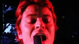 Robert Palmer  -  Best Of Both Worlds