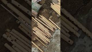 Download lagu Jual seruling Batak Spesial merk'Jex'.dijamin kualitas terbaik, tidak martuning dan tidak false. mp3 Download lagu Jual seruling Batak Spesial merk'Jex'.dijamin kualitas terbaik, tidak martuning dan tidak false. mp3