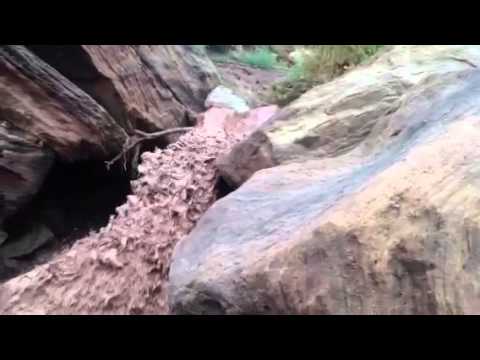 The secret life of Canyons No 1