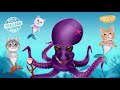 MOOCHIE Ton Balıklı ve Palamutlu Krema Kedi Ödül Maması 15gr (5'li)