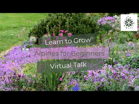 Alpines for Beginners - Virtual Talk by John Good