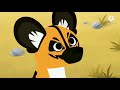 WFSU Up Next Bumper Wild Kratts Cats And Dogs 2021 WFSU