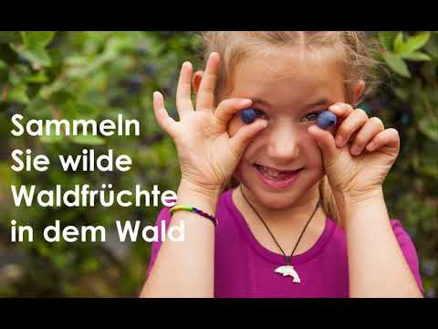 Valsugana: wo der Tourismus umweltfreundlich ist!