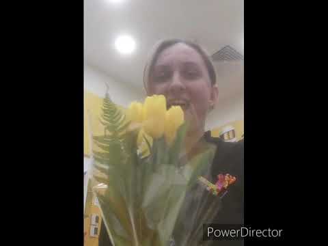 I am a brave mouse and other animals-English teacher Diac Ionela