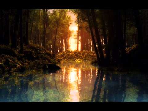 DROP D  Valley of darkness