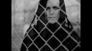 Apoptygma Berzerk - Who´s Gonna Ride Your Wild Horses