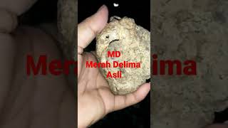 Download lagu MD ( Merah Delima Asli )minat WA 081228225471 mp3