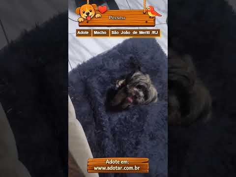 Vídeo de Perseu