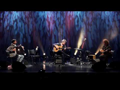 Pedro Jóia Trio - Verdes Anos (Ao Vivo)