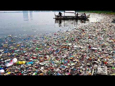 Manual d’intruccions per un món Millor