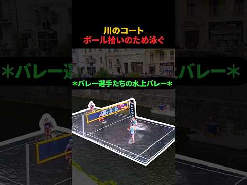 川のコートボール拾いのため泳ぐ