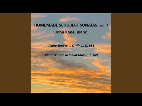 Piano Sonata in B-Flat Major, D. 960: I. Molto moderato