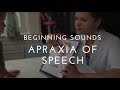 Apraxia Of Speech Therapy Beginning Sounds