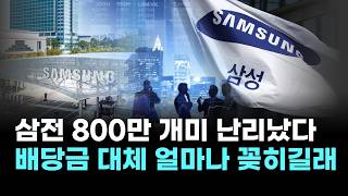 삼성전자 800만 개미들 난리났다…배당금 대체 얼마나 꽂히길래