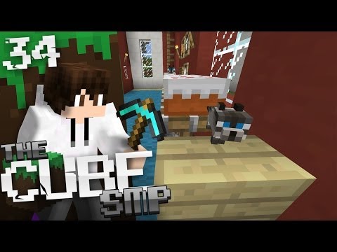 Minecraft Cube SMP: E34 - Cat Problems