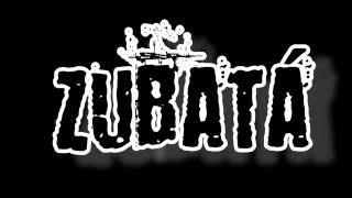 (NA)PLECH-Zubatá cover