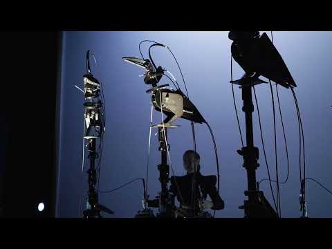 Marta Cuscunà - Corvidae. Sguardi di specie