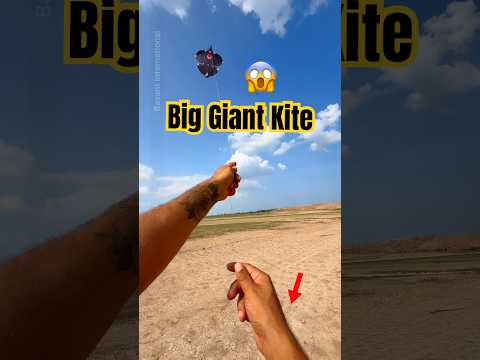 big kite flying international kite festival #basantinternational #kiteflying #kiteday #kiteground