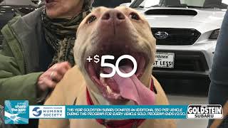 Share The Love at Goldstein Subaru - Donate $250 to Charity with New Subaru Purchase or Lease