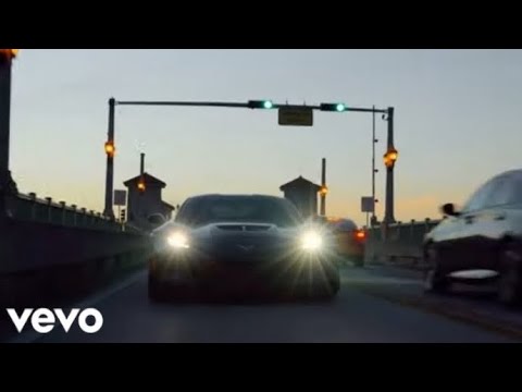 Lucian Barbulescu - Perspektiva