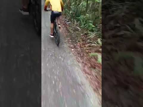 Santo Antônio de Goiás