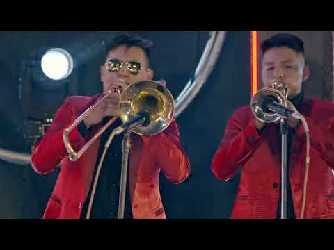 Efekto X - Estúpido Infeliz (PRÓXIMAMENTE)